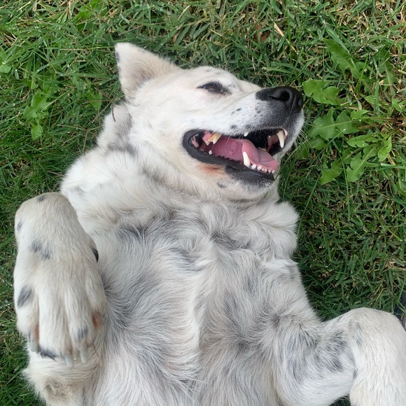 Meet your Posher, Yadira - Picture 1 of 1